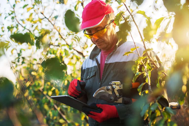 Syngenta image