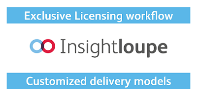 patent portfolio workflow